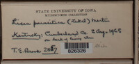 Image Associated With the Occurence